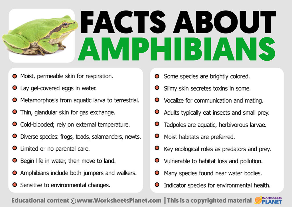 facts-about-amphibians