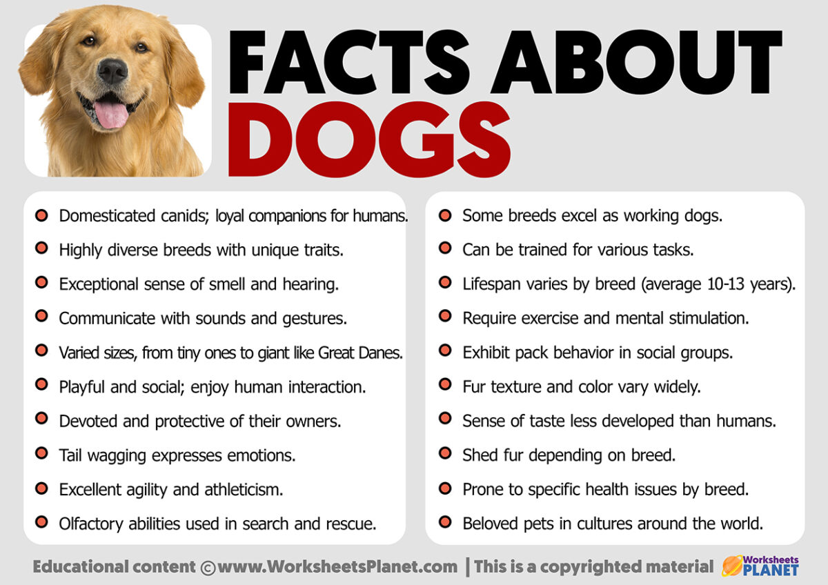 Facts about Dogs