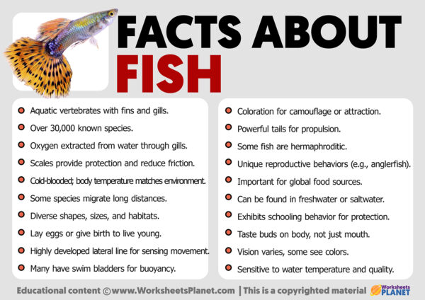 Facts about Fish