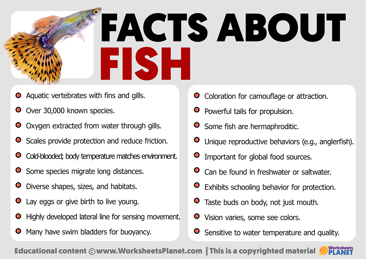 Freshwater fish facts and information