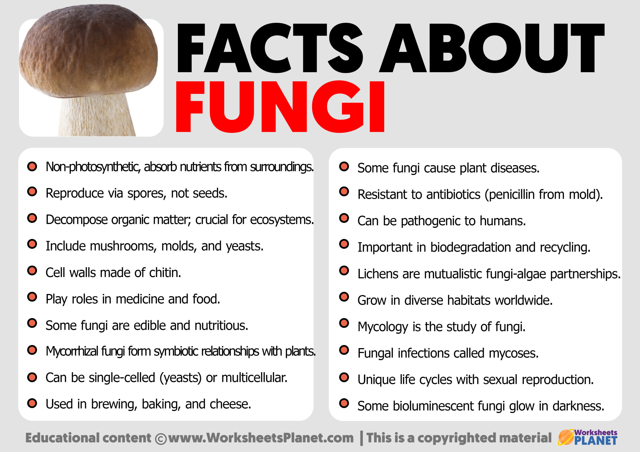 Facts About Fungi