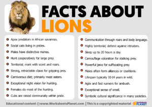 Facts About Lions