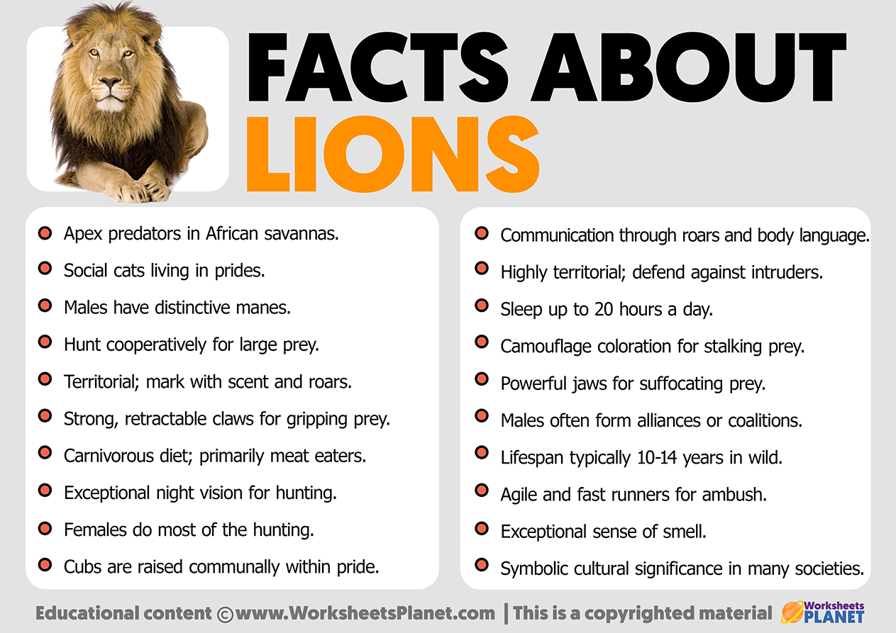 Lion Facts: Habitat, Behavior, Diet