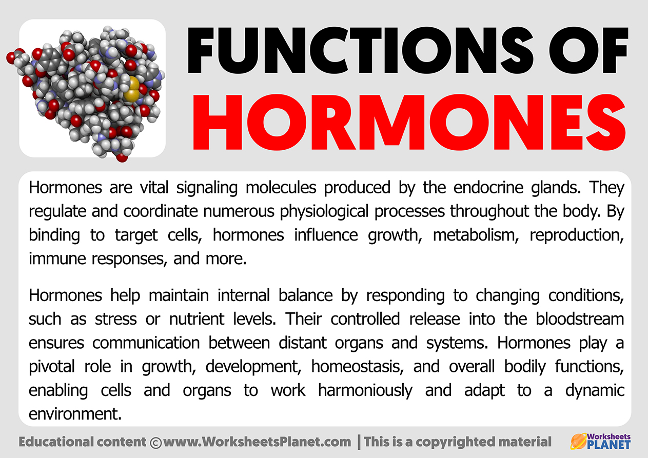 What Are Some General Functions Of Hormones