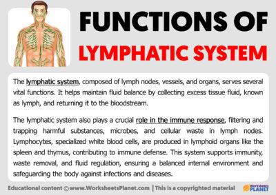 Functions of Lymphatic System