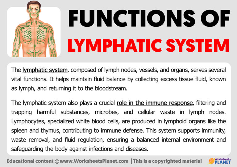 Functions of Lymphatic System