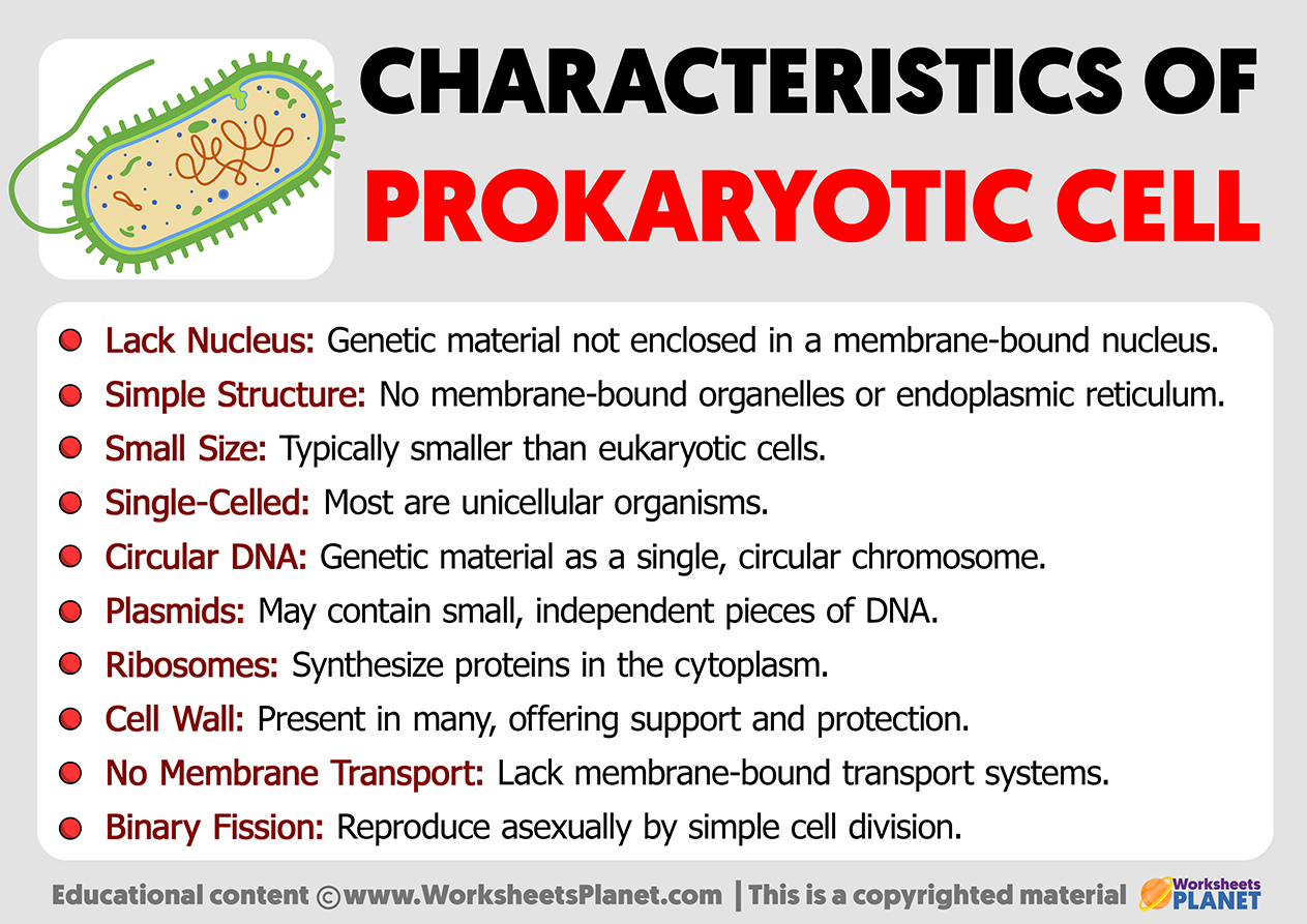 Characteristics Of Prokaryotic Cells