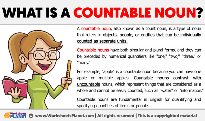 a research countable noun