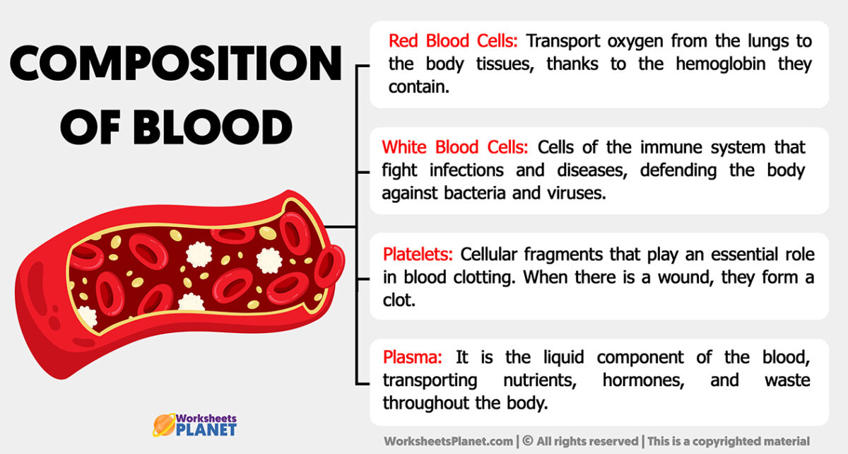 write an essay on composition of blood