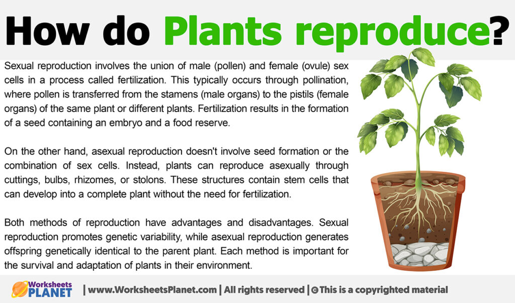 How do Plants reproduce?