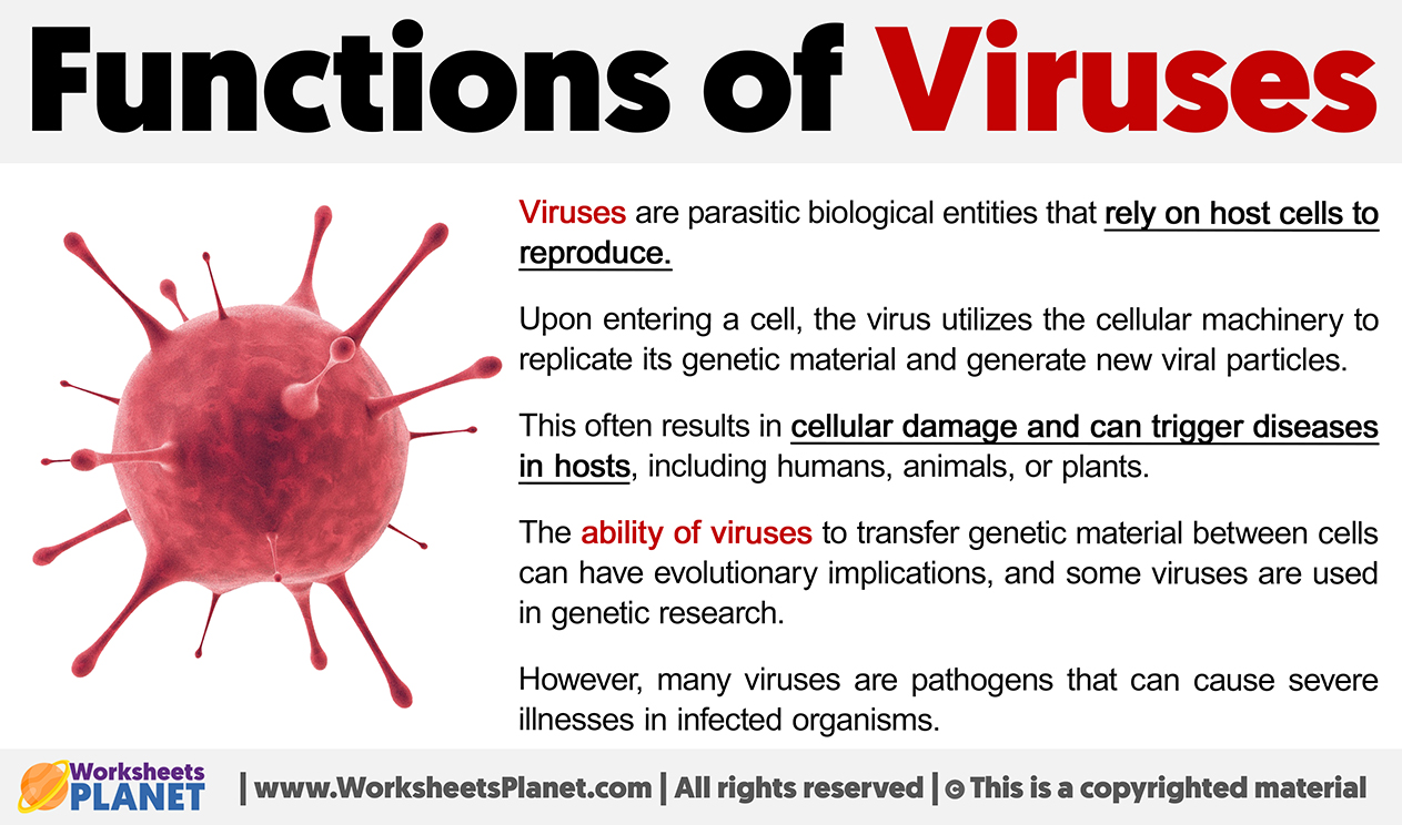 Functions Of Viruses