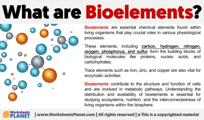 What are Bioelements