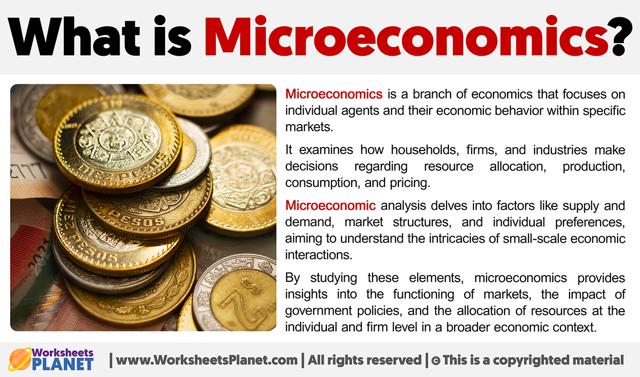 What is Microeconomics