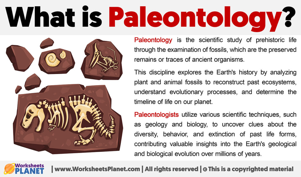 What is Paleontology | Definition of Paleontology