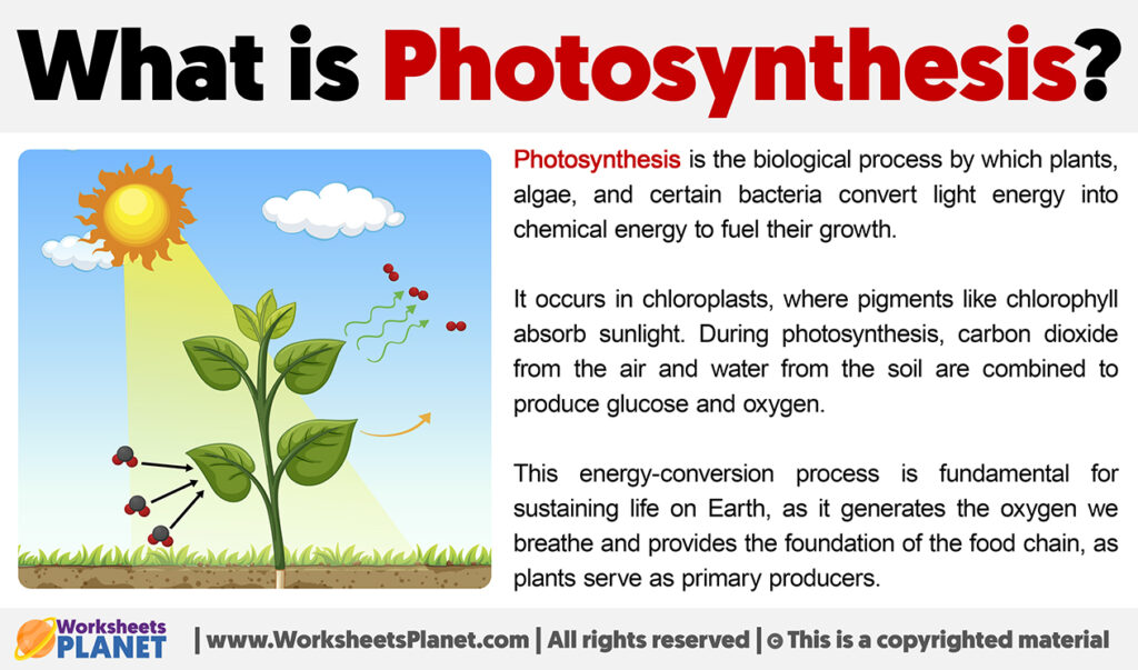 what is meaning by photosynthesis