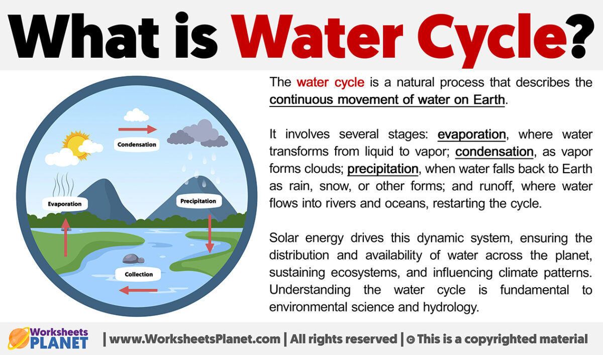 What is the Water Cycle