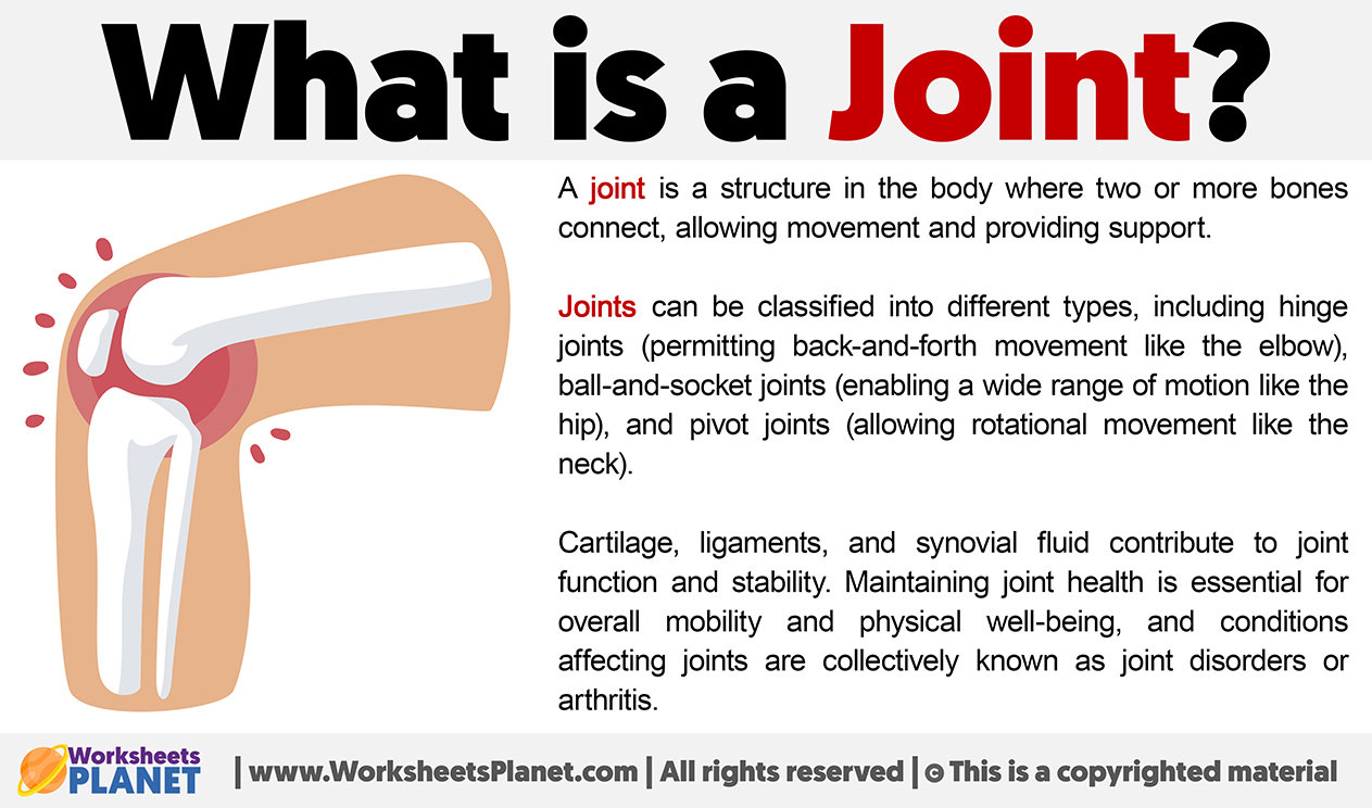 What Is A Joint