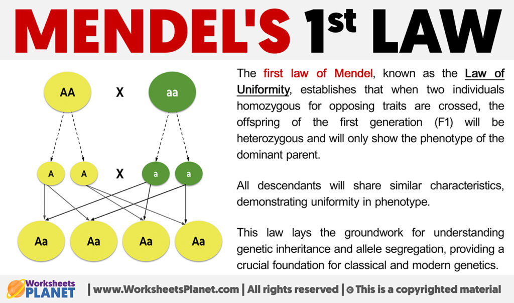 Mendel's First Law | The Mendel 1st Law