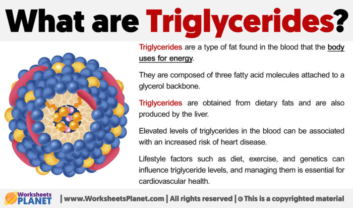 What Are Triglycerides   What Are Triglycerides 700x412 