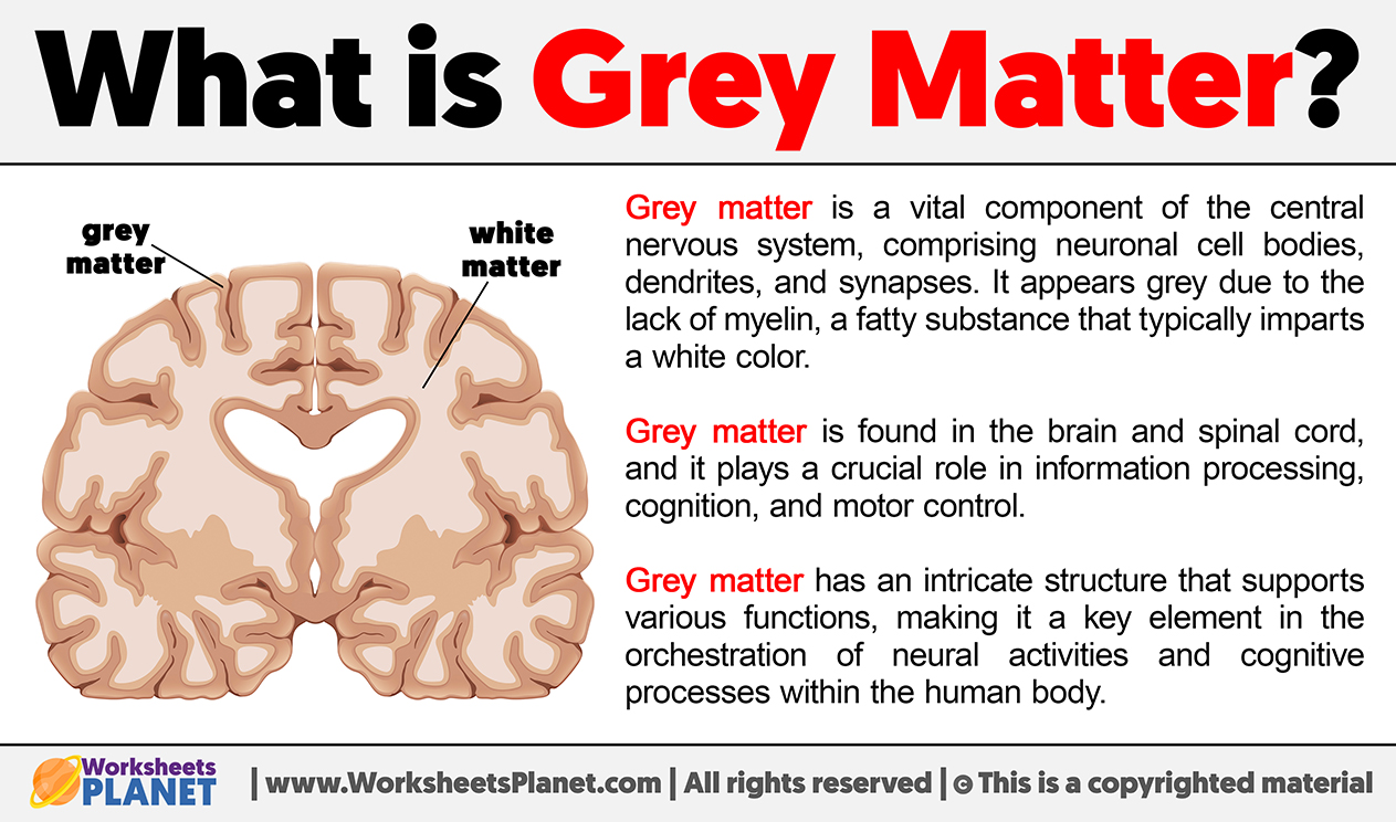 What is Grey Matter