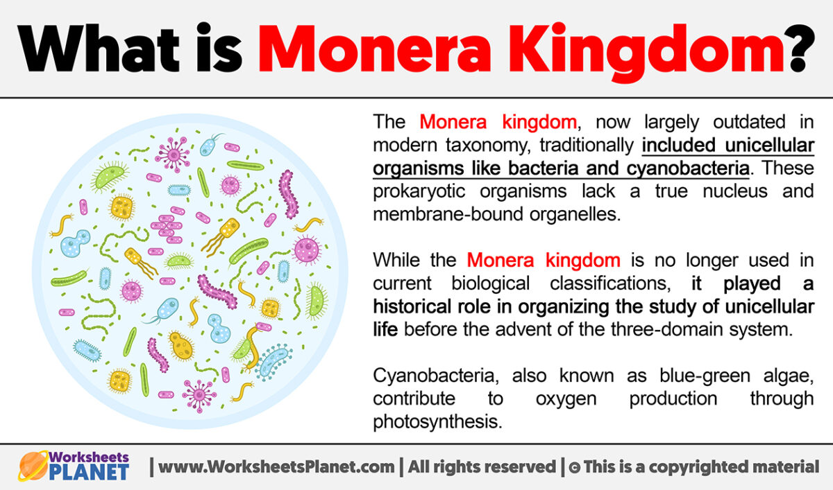 what-is-monera-kingdom