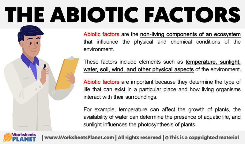 What are Abiotic Factors?