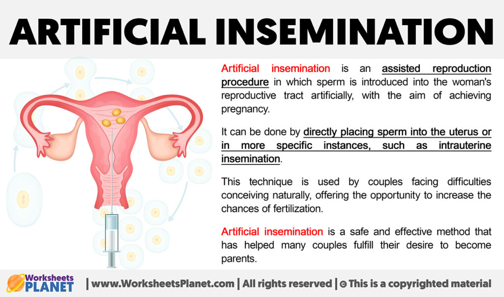 What Is Artificial Insemination 1024x603 