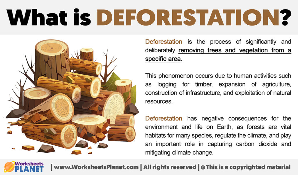 What is Deforestation | Definition of Deforestation