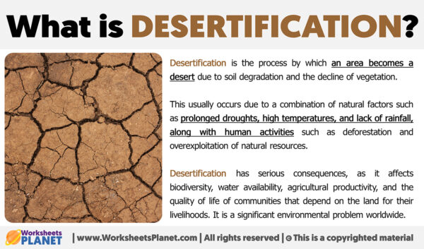 What is Desertification | Definition of Desertification