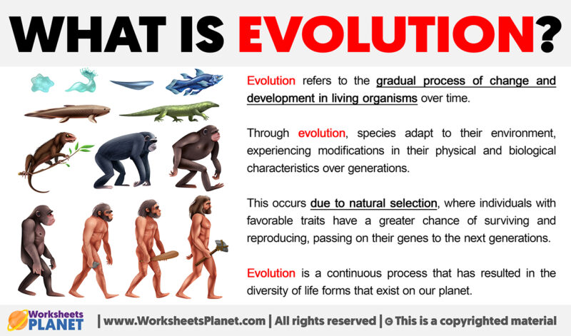 what-is-evolution-definition-of-evolution