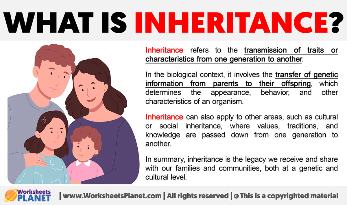 What is Inheritance Definition of Inheritance