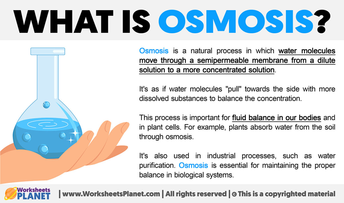 what-is-osmosis-definition-of-osmosis