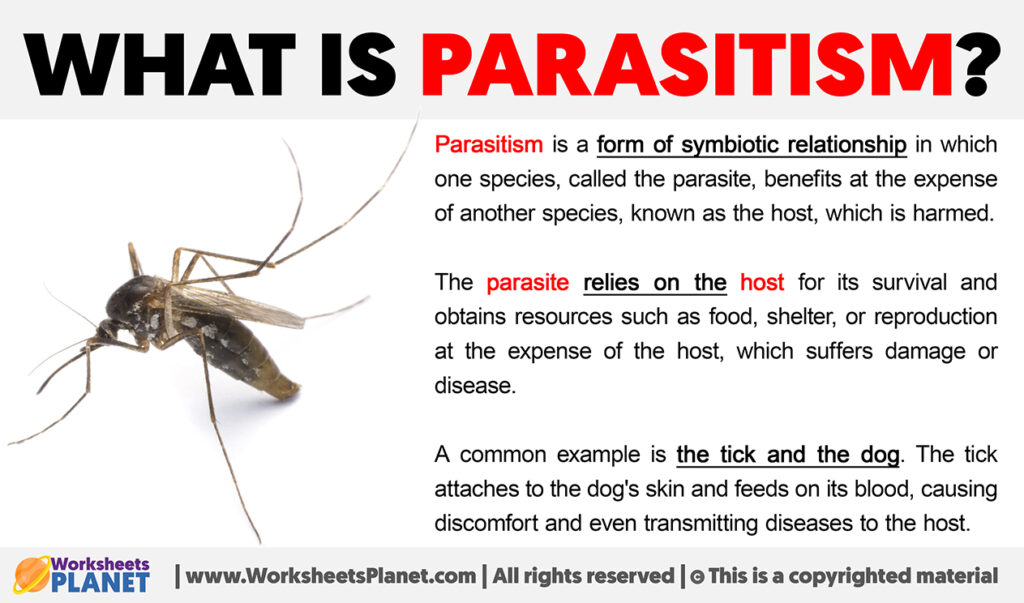 What is Parasitism | Definition of Parasitism