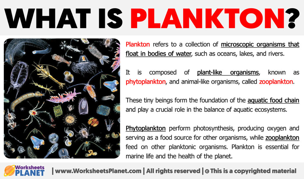 What is Plankton | Definition of Plankton