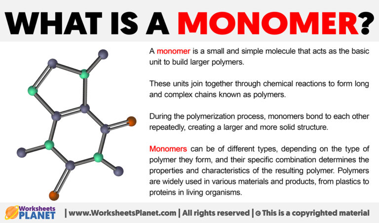 What is a Monomer | Definition of Monomer