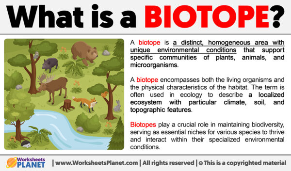 What Is A Biotope Definition Of Biotope