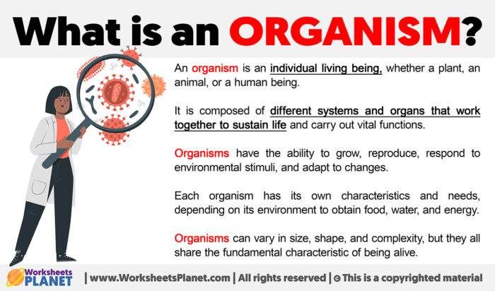 What is an Organism | Definition of Organism