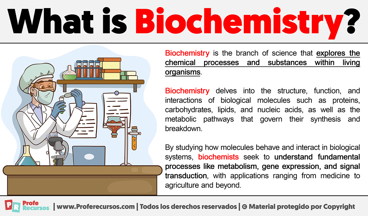 What Is Biochemistry