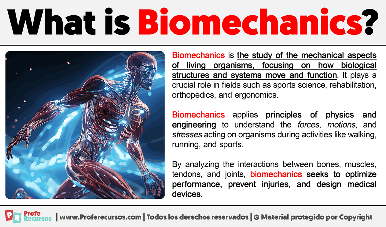 What Is Biomechanics