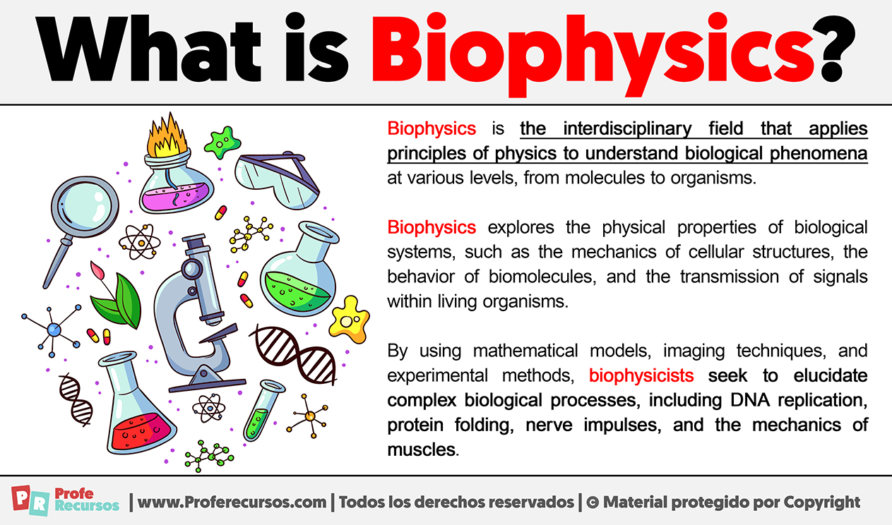 What Is Biophysics