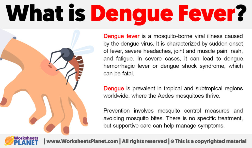 What is Dengue Fever | Definition of Dengue Fever