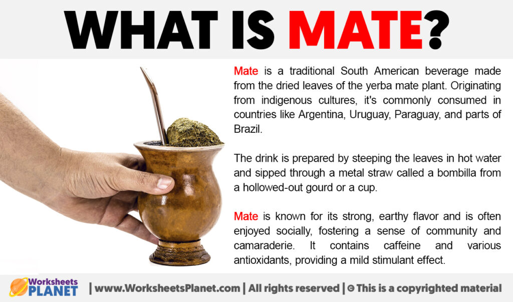 What is Mate Definition of Argentinian Mate