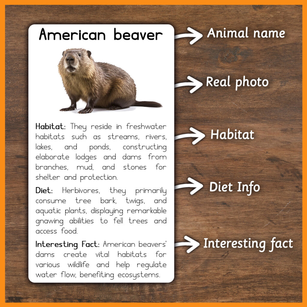 North American Animals Printable Activity