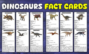 Dinosaurs Flashcards