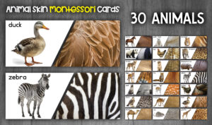 Animals Montessori Activity