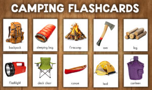 Camping Vocabulary Flashcards