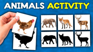 Animals Activity For Kindergarten