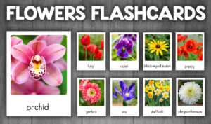 Flowers Flashcards