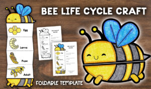 Bee Life Cycle Craft Acitivity For Kids