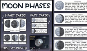 Phases Of The Moon Activity For Kids